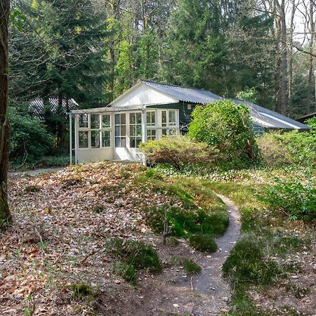 "Esdoorn" Ontspannen In De Hottub Norg Exterior photo